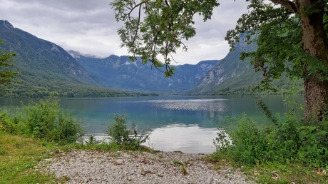 Meer van Bohinji