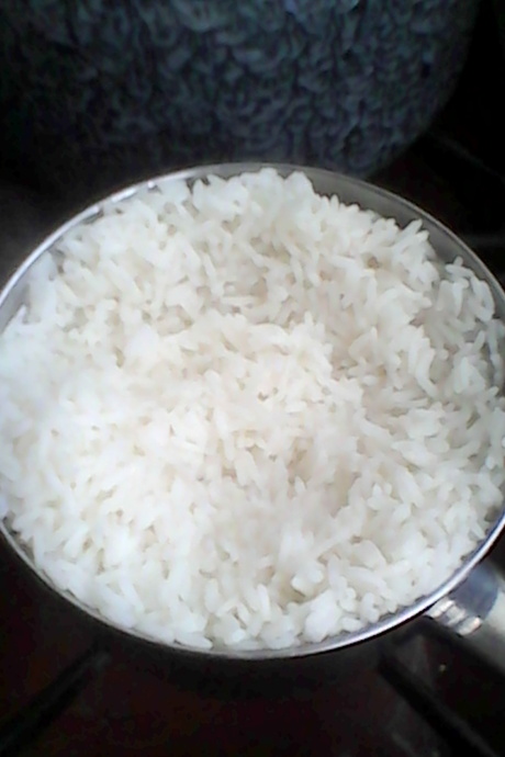 rice, the basic food
