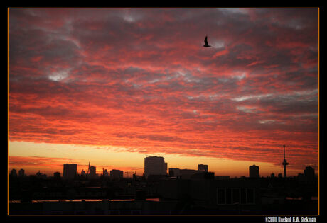 Goedemorgen Rotterdam!