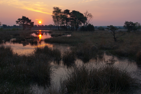 Ochtendgloren in Kootwijk