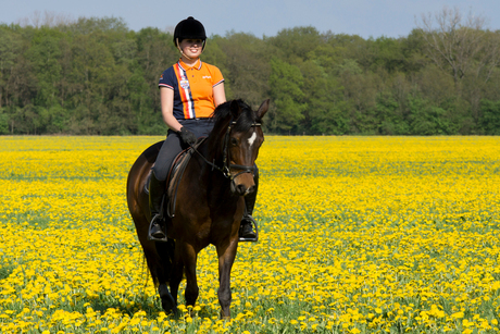 paard-en-bloemen