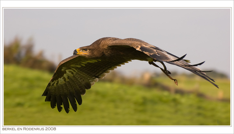 Vogelvlucht