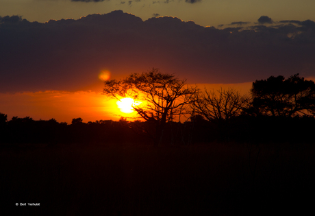 sunset kalmthoutse heide