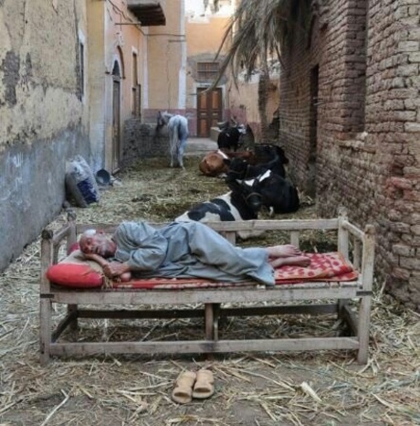 image.jpg sleeping old man in Aswan Egypt