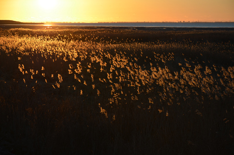 Sunset at Den oever