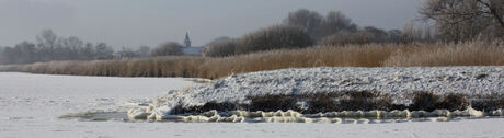 Rogsloot Texel