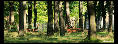 fotorando veluwe 2012