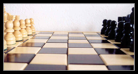 Kikvors schaakbord