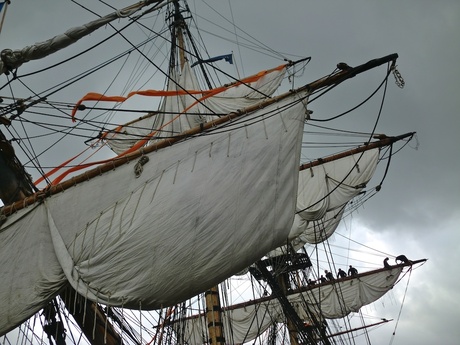 sail 2010 - Gotenborg