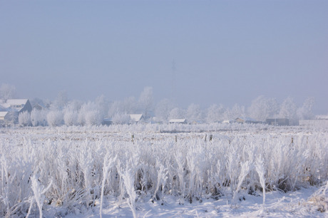 Winterlandschap