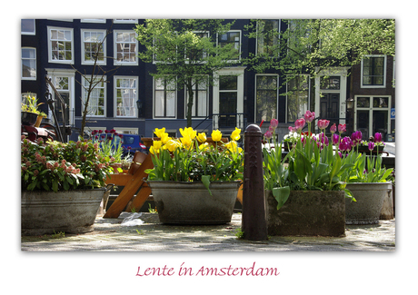 Lente in Amsterdam