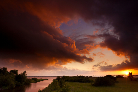 Hollands Licht