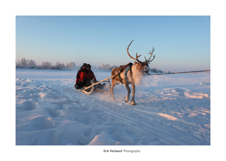 Zweeds Lapland -35°C