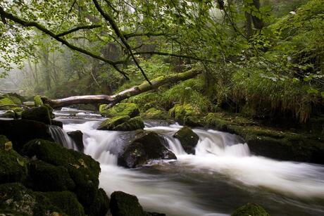 Golitha Falls waterval