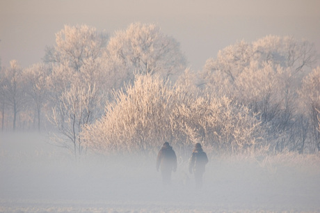 ze verdwijnen in de mist