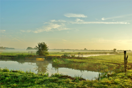 ochtend mist