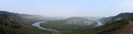 Mosel Panorama