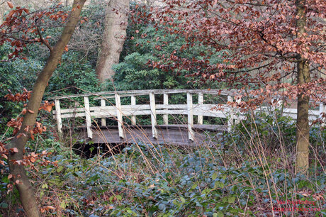 Bruggetje in 's Graveland