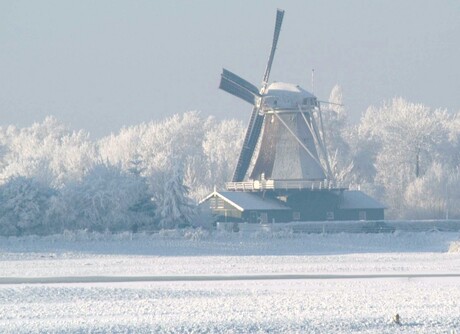 winter in nederland