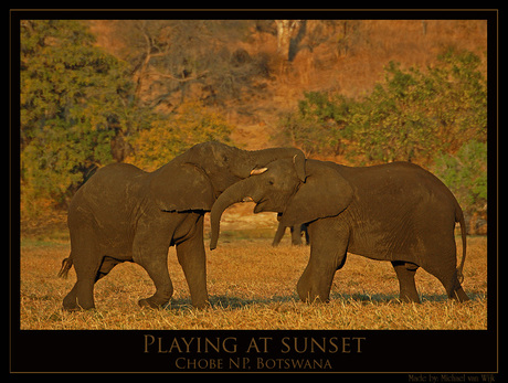Playing at Sunset
