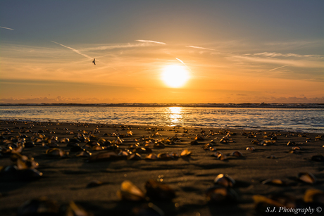 Noordwijk aan Zee