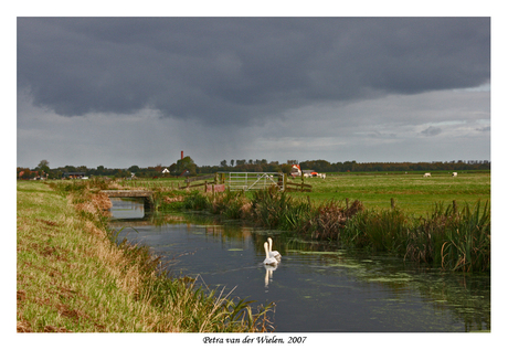 Sloot in polder