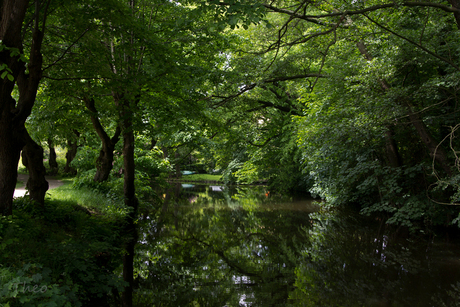 kasteelgracht Gemen