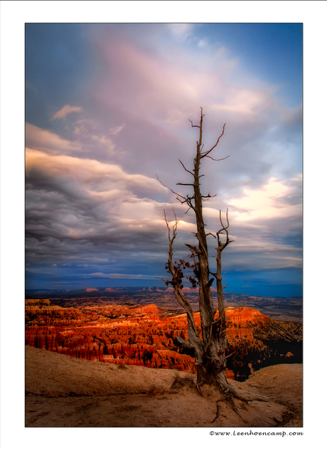 Bryce Canyon np