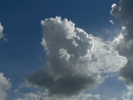 Cumulus in HDR