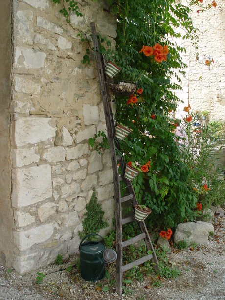 Franse ladder