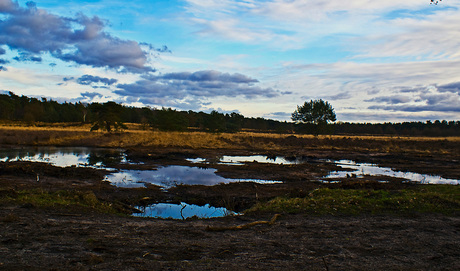 Leusderheide