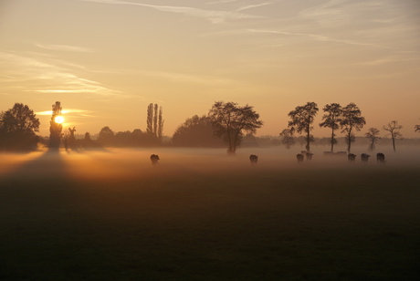 Mooi om de zon weer eens zien onder te gaan na de sombere dagen