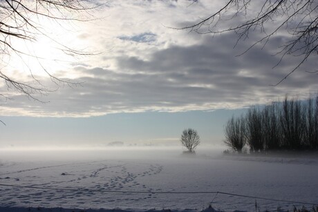 landschap met winterlicht