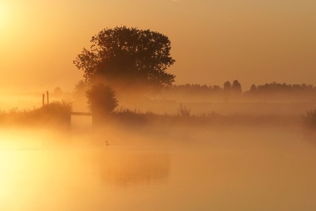 Zon en ochtendmist