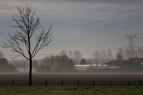 Polderochtend 1