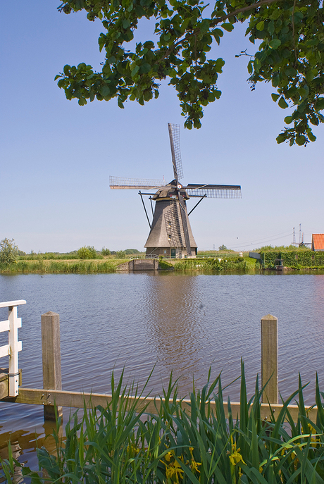 Kinderdijk