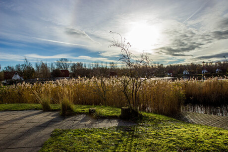 HDR landschap