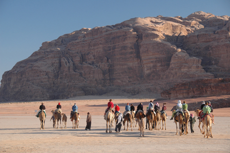 Kamelentocht in Wadi Rum