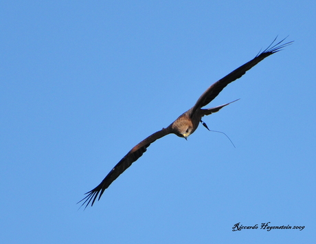 In vogelvlucht