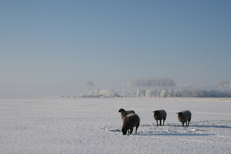 Een prachtige stille winterochtend