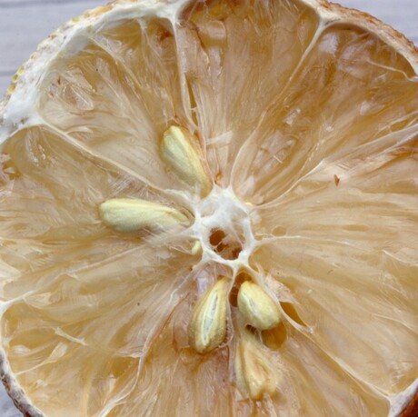 oud citroentje