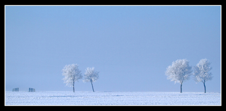 Winterscape v1