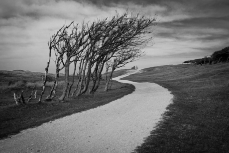 Wandelpad Sint Maartenszee