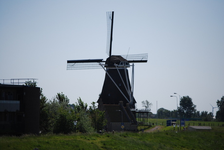 Molen