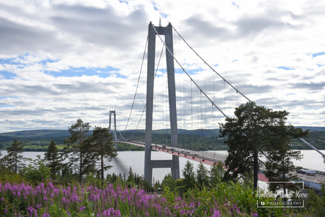 The High Coast Bridge