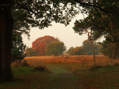 Herfstfoto