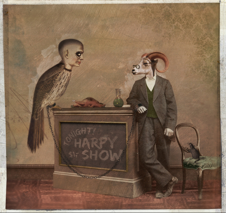 The Great Harpy Show