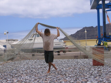 De dans van de oogst