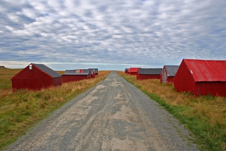 lofoten