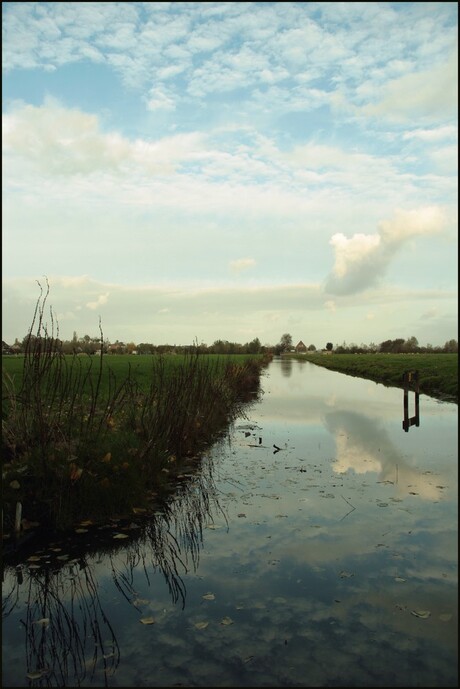 Groene hart in de polder